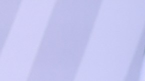 Ana Guevara dijo que el equipo recibió 40 millones de pesos.