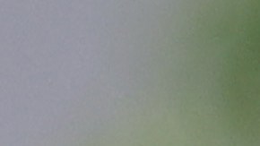 El papa Francisco renovó su mensaje de comprensión y apoyo para los inmigrantes.