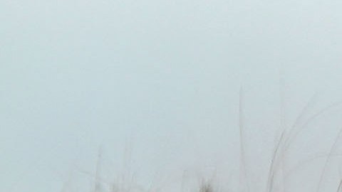 Número de muertos aumenta a causa de gotas para los ojos contaminadas, mientras muchas más han perdido la visión