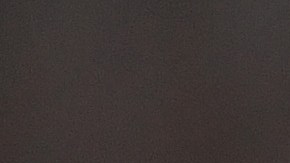 Bielsa es uno de los estrategas más respetados del fútbol sudamericano