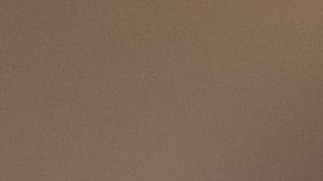 Sergio Rico no disputó ni un partido esta temporada.