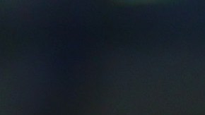 Edson Álvarez (c) celebra con sus compañeros un gol del Ajax.