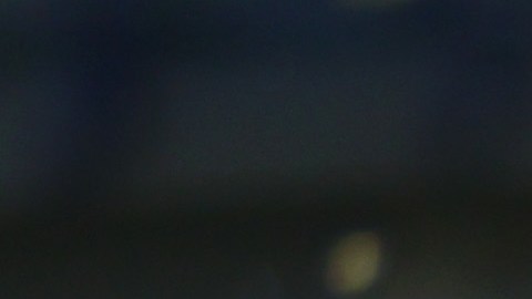 Edson Álvarez (c) celebra con sus compañeros un gol del Ajax.