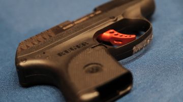 54% de los maestros en EE.UU. cree que el porte de armas haría menos seguras las escuelas