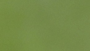 Canelo Álvarez en un juego de golf.