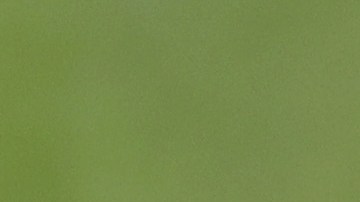 Canelo Álvarez en un juego de golf.