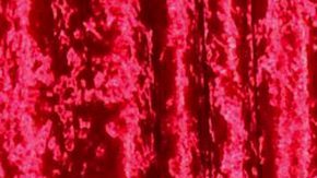 Chiquis Rivera y su novio Emilio Sánchez se comprometieron en matrimonio.