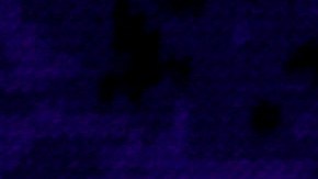 'El Gordo y La Flaca' hizo un recorrido por el barrio en el que creció Bad Bunny