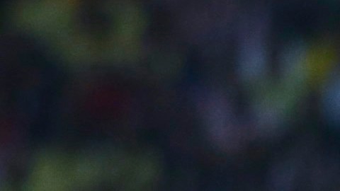 Alejandro Zendejas disputa un balón con Alexis Vega.