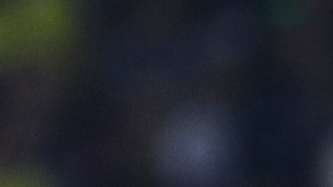Jugadores de las Chivas y del América en el Apertura 2022.