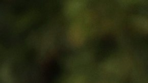 Universidad de California avanza plan para permitir trabajar a estudiantes indocumentados