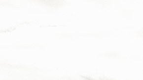 Conductor que se estrelló cerca de la Casa Blanca dijo que estaba "preparado para matar a Biden y tomar el poder"