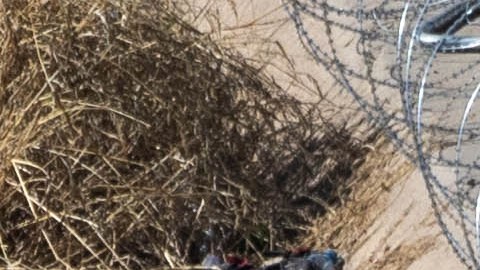 Políticos y activistas repudian envío de tropas a la frontera con México