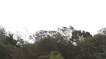 ROSS, CALIFORNIA - JANUARY 12: Phoenix Lake is seen at 100 percent capacity after a series of atmospheric river events drenched Northern California on January 12, 2023 in Ross, California. As several atmospheric river events bring record rainfall to California, reservoirs across state are seeing their levels rise following several years of extreme drought. Marin County's seven reservoirs are now at 100 percent capacity and other major reservoirs in the state are closing in on historic averages. (Photo by Justin Sullivan/Getty Images)