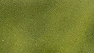 La MLS anunció que el jugador fue separado de su club.