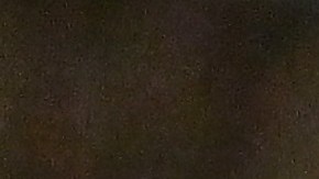 Estados Unidos iniciará su camino en la Copa Oro el 24 de junio.