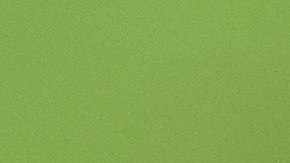 Tiger Woods durante una práctica de golf.