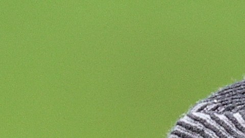 Tiger Woods durante una práctica de golf.