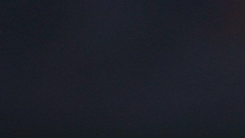 Luis Malagón, portero del Club América de la Liga MX.