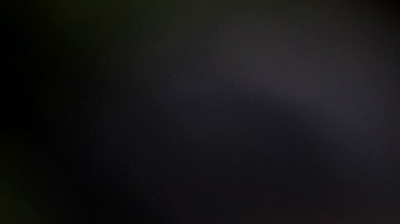 MIAMI BEACH, FLORIDA - APRIL 16: A parade goer holds a flag as she watches as the 15th annual Miami Beach Pride Celebration parade passes by on April 16, 2023 in Miami Beach, Florida. The parade featured a celebration of the LGBTQ+ community with floats, drag performers, and other parade participants. (Photo by Joe Raedle/Getty Images)