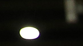 Rob McElhenney y Ryan Reynolds levantan el trofeo de la National League.