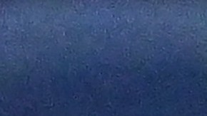 Randy Arozarena batea para .311 de average.