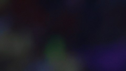 Fernando Ortiz, director técnico del Club América.