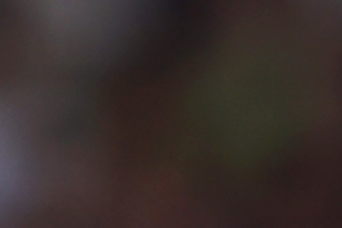 Guardado termina contrato con el Real Betis en las próximas semanas.