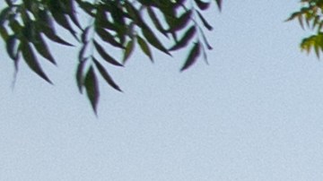 UVALDE, TEXAS - APRIL 27: A memorial dedicated to the 19 children and two adults murdered on May 24, 2022 during the mass shooting at Robb Elementary School is seen on April 27, 2023 in Uvalde, Texas. The town of Uvalde prepares to mark the 1-year anniversary of the 19 children and two adults murdered during last year's mass shooting at Robb Elementary School. (Photo by Brandon Bell/Getty Images)