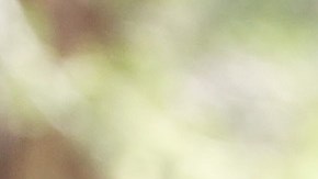 YOSEMITE NATIONAL PARK, CALIFORNIA - APRIL 29: A park ranger speaks to a driver at a checkpoint for a road closed due to flooding in Yosemite Valley, as warming temperatures have increased snowpack runoff, on April 29, 2023 in Yosemite National Park, California. Most of Yosemite Valley is now closed because of the risk of extensive flooding from the melting snowpack amid a heat wave. As of April 1, snowpack in the Tuolumne River basin of Yosemite National Park was 244% of average amid record snowpack levels for some parts of California after years of drought. (Photo by Mario Tama/Getty Images)