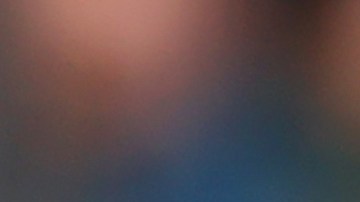 Eddie Howe, entrenador del Newcastle United.