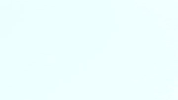 Javier Aguirre, entrenador del RCD Mallorca en España.