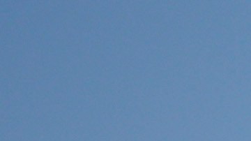 Toni Breidinger, modelo y piloto de carreras.