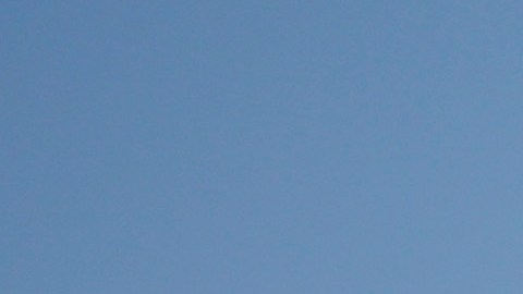 Toni Breidinger, modelo y piloto de carreras.