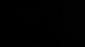 Ron DeSantis realizó ajustes en su equipo de campaña, pero esto lo ha perjudicado