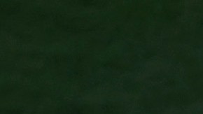 Julio Urias, lanzando con LA Dodgers.