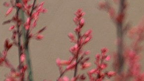 Tirador de un centro comercial de Allen, Texas, compartió creencias extremistas en redes sociales previo a su ataque