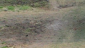 Inmigrantes esperan ser procesados por CBP después de cruzar la frontera el 10 de mayo de 2023 en Texas.