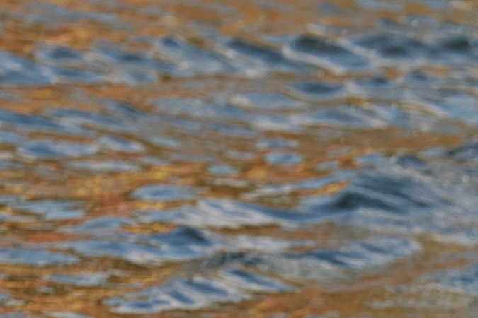 Cientos de inmigrantes cruzan el Río Bravo para ingresar a EE.UU. el 11 de mayo de 2023 desde Matamoros, en México.