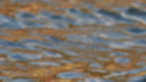 Cientos de inmigrantes cruzan el Río Bravo para ingresar a EE.UU. el 11 de mayo de 2023 desde Matamoros, en México.