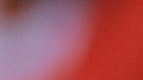 Robert Dante Siboldi, entrenador de Tigres de la UNAL en la Liga MX.