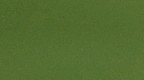 Tom Kim en el PGA de Nueva York.