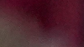 Los umpires decidieron no expulsarlo.