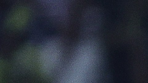 Álvaro Fidalgo, jugador del Club América.