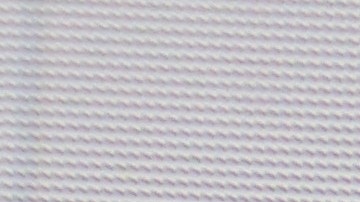 Foto de un tuit de Elon Musk.