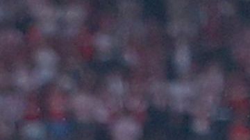 El Bayern ganó el título en la última fecha.