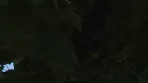 Inquilinos de edificio que se derrumbó en Iowa reclaman que sus quejas fueron ignoradas durante años