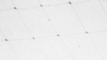 Antonio 'La Tota' Carbajal, leyenda de fútbol mexicano.