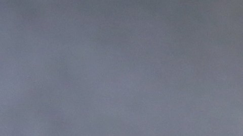 Aún así, investigación no tiene los datos de inmigrantes en solitaria en centros de detención de ICE.