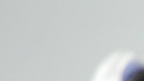 Hombre ebrio en Colorado intenta cambiar de lugar con su perro y lo culpa de conducción errática para evitar arresto